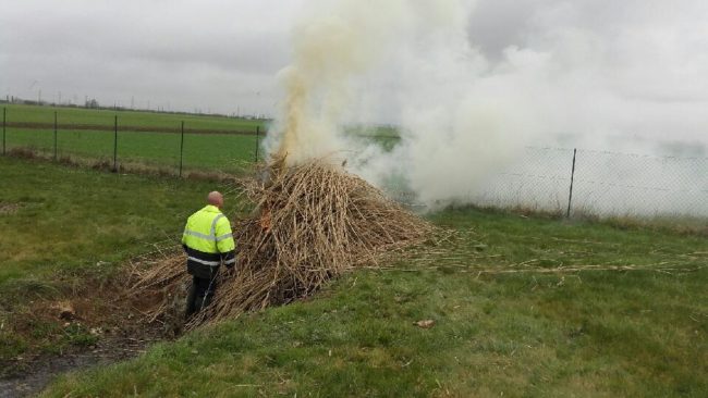 Faucardage Faucardage